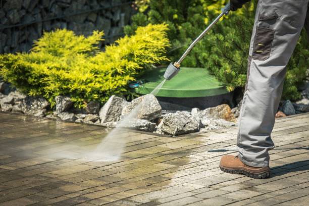 Best Pool Deck Cleaning  in Roselle, NJ