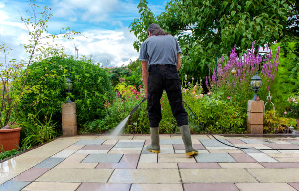 Best Parking Lot and Garage Cleaning  in Roselle, NJ